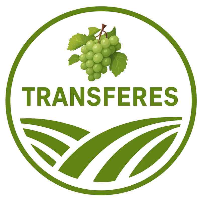 Logo TRANSFERES